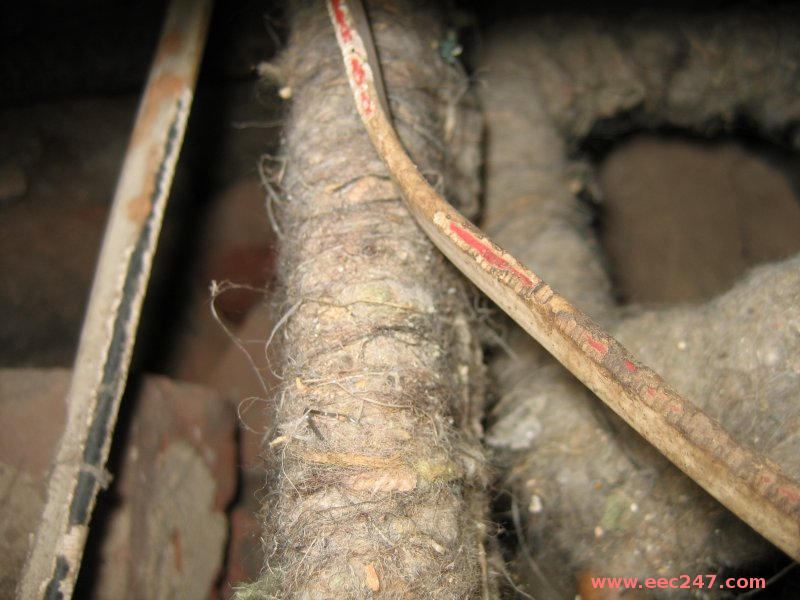 picture of PVC covered electrical cables, damaged by rodents with a fried rat just out of sight